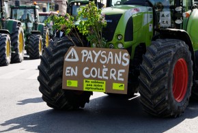 agriculteurs