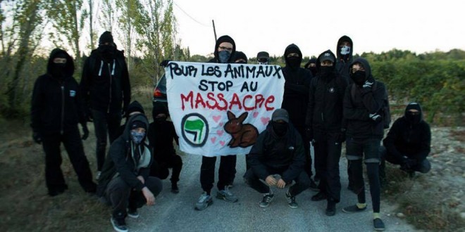 antifa