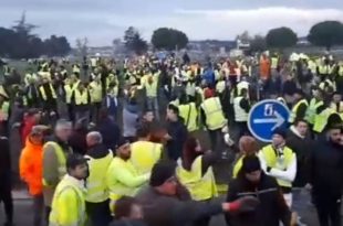 gilets jaunes