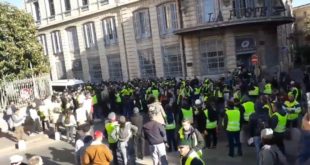 gilets jaunes