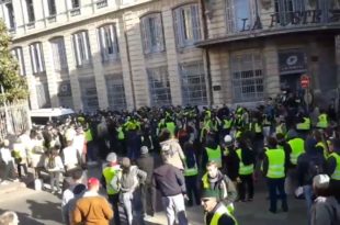 gilets jaunes