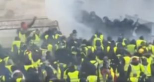 gilets jaunes