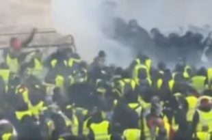 gilets jaunes